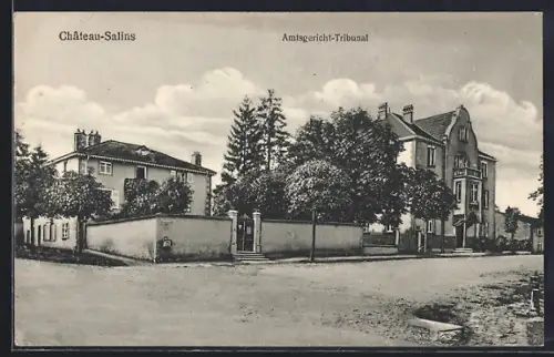 AK Château-Salins, Amtsgericht-Tribunal