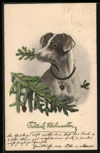 Künstler-AK Hund mit Tannenzweig im Maul, Fröhliche Weihnachten