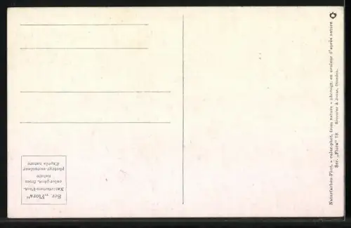 AK Scleroderma vulgare, Härtling, falsche Trüffel (giftig), Pilze