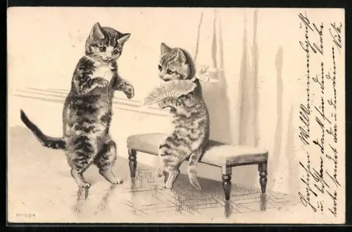 AK eleganter Kater fordert seine Katze zum Tanz auf, vermenschlichte Tiere