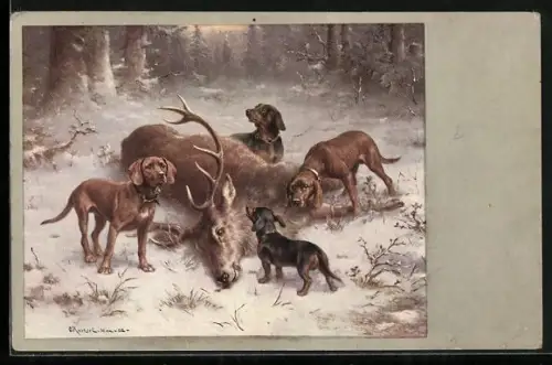 Künstler-AK Carl Reichert: Dackel und Bluthunde am zur Strecke gebrachten Hirsch