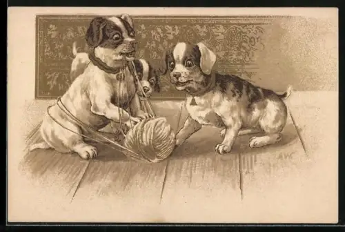Lithographie Drei junge Hunde spielen mit einem Wollknäuel