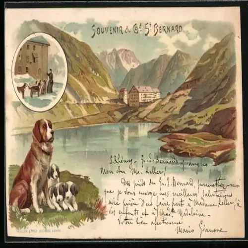 Lithographie Grand Saint-Bernard, Panorama und Bernhardinerhund mit Welpen