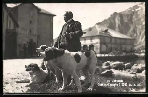 AK St. Gottardo, Herr im Dreiteiler mit Bernhardinern