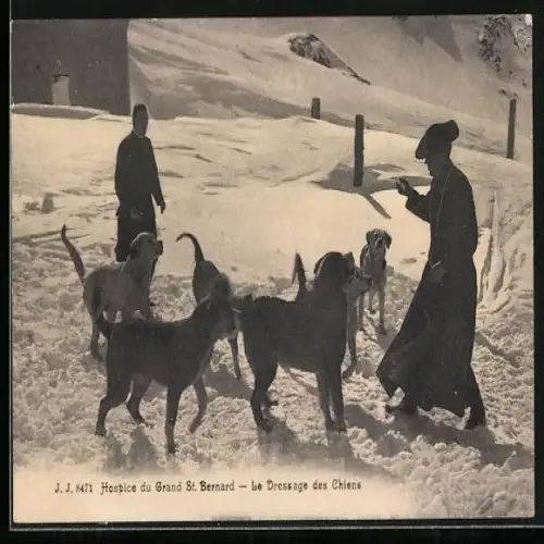 AK Bourg-Saint-Pierre, Hospice du Grand St. Bernard, Le Dressage des Chiens, Bernhardiner