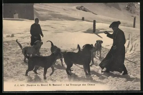 AK Bourg-Saint-Pierre, Hospice du Grand St. Bernard, Le Dressage des Chiens, Bernhardiner