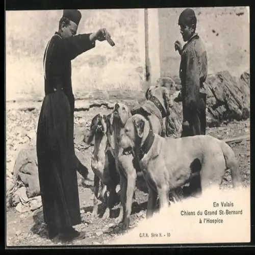 AK Chiens du Grand St. Bernard, Bernhardiner und Geistlicher