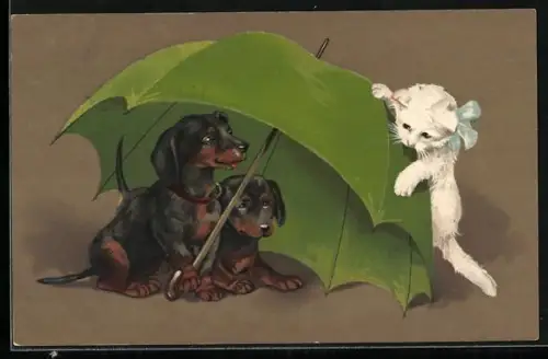 Künstler-AK Dackel unterm Schirm und neugierige Katze