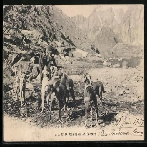 AK Chiens du St. Bernard, Bernhardiner im Hochgebirge
