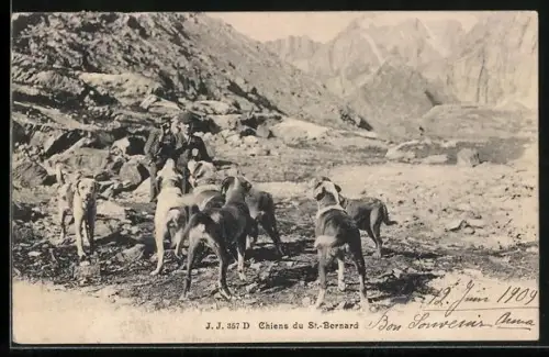 AK Chiens du St. Bernard, Bernhardiner im Hochgebirge