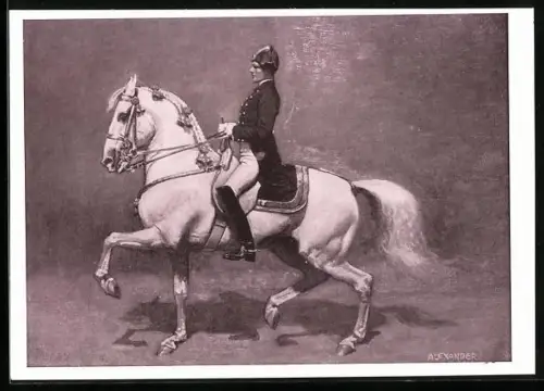 AK Wien, Spanische Reitschule, Pferd und Reiter bei einer Übung