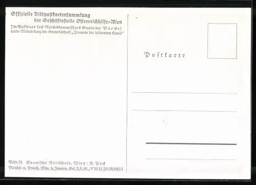 AK Wien, Spanische Reitschule, Pferd und Reiter bei einer Übung