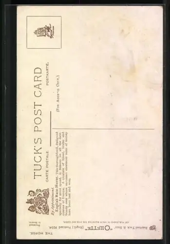 Künstler-AK Reitpferd mit weisser Blesse vor Reiter auf Reitplatz