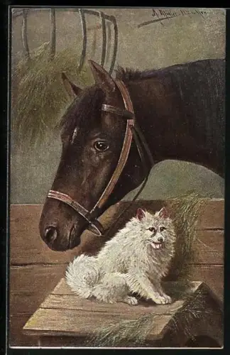 Künstler-AK August Müller - München: Pferd und Spitz in Stall