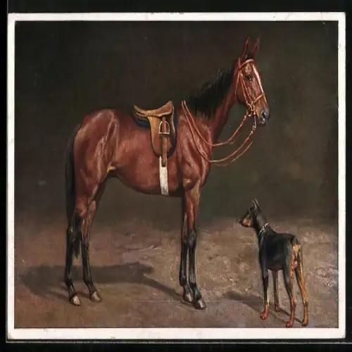 AK Dobermannn und Reitpferd