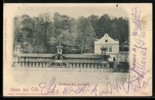 AK Cilli, Waldhaus mit Sanebäder