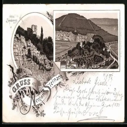Lithographie Neckar-Steinach, Schloss Schwalbennest, Blick über den Ort