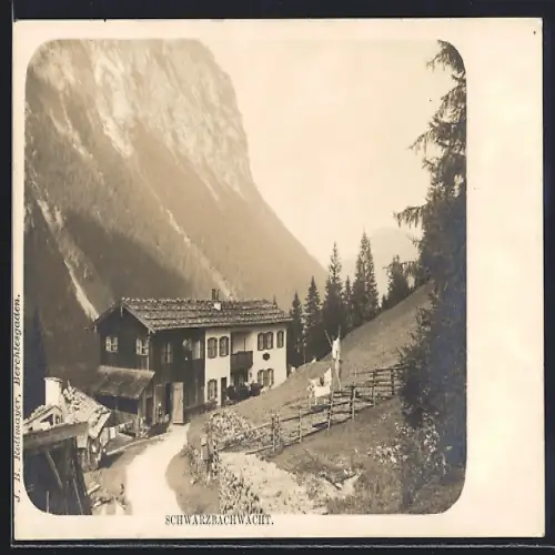 AK Schwarzbachwacht, Gasthaus, Gebirgslandschaft, Almweg