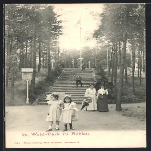 AK Bühlau, Wald-Park, Treppe, Spaziergänger