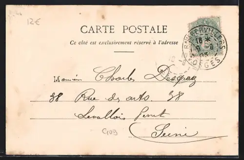 AK Rambervillers, Rue Carnot animée avec calèches et passants