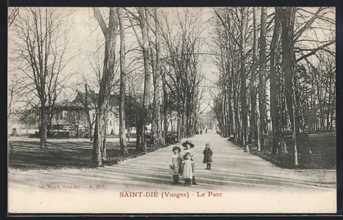 AK Saint-Dié /Vosges, Le Parc avec des enfants se promenant sous les arbres