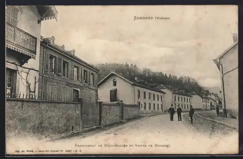 AK Senones /Vosges, Pensionnat de Demoiselles et Route de Moussey