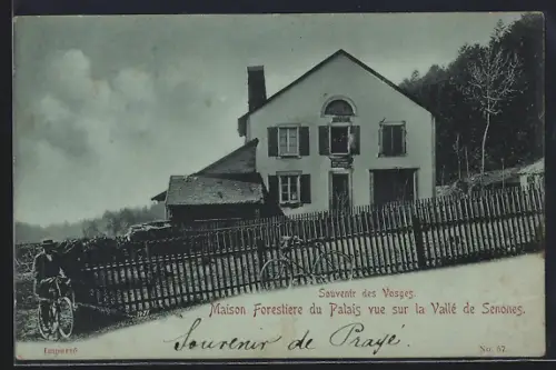 AK Vallée de Senones, Maison Forestière du Palais