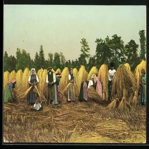 AK Bauern bei der Getreide Ernte auf dem Feld