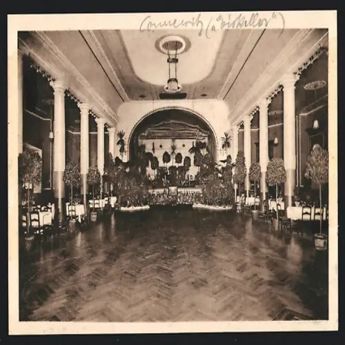 AK Leipzig-Connewitz, Gasthaus Eiskeller-Park, Grosser Festsaal