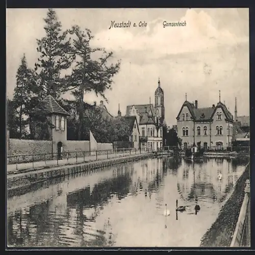 AK Neustadt a. Orla, Partie am Gamsenteich
