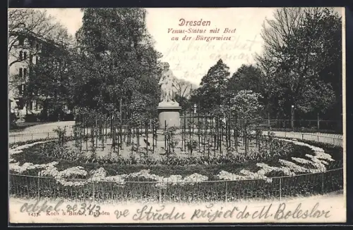 AK Dresden, Venus-Statue mit Beet an der Bürgerwiese