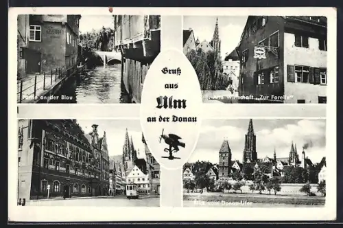 AK Ulm an der Donau, Partie an der Blau, Gasthaus Zur Forelle, Strassenbahn, Blick vom Donau-Ufer