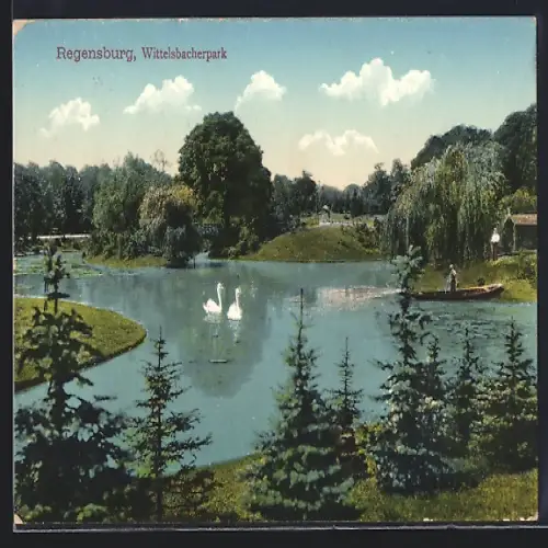 AK Regensburg, Partie im Wittelsbacherpark mit Schwänen