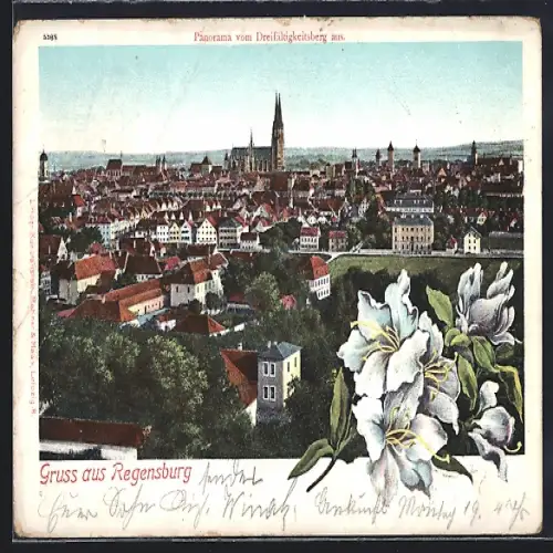 AK Regensburg, Panorama vom Dreifaltigkeitsberg aus