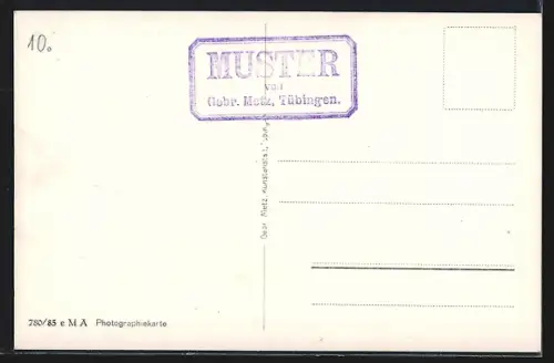 AK Regensburg, Totalansicht mit Flusspartie