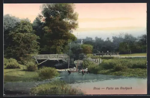 AK Riesa, Partie am Stadtpark, Ruderboote