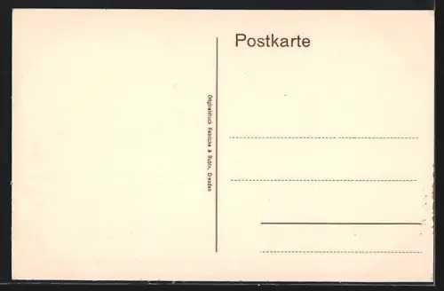 AK Riesa, Partie am Stadtpark, Ruderboote