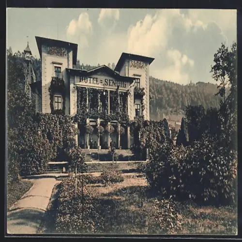 AK Bad Schandau, Hotel Sendig