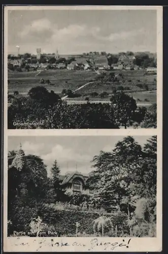 AK Zell /Pfalz, Ortsansicht, Partie aus dem Park