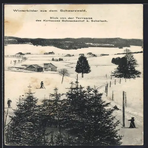 AK Schollach, Blick von der Terrasse des Kurhauses Schneckenhof