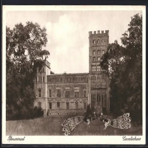 AK Berlin-Wannsee, Die Pfaueninsel, Das Cavalierhaus, Pfaue