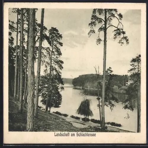 AK Berlin-Schlachtensee, Partie am See mit malerischer Landschaft
