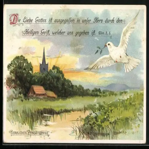 AK Weisse Taube fliegt mit einem Zweig im Schnabel über einen Fluss, Die Liebe Gottes ist ausgegossen in unser Herz...