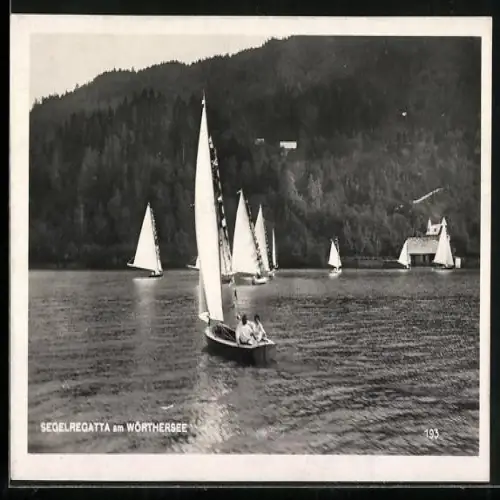 AK Wörthersee, Segelregatta am Wörthersee, Segelboote auf dem Wasser