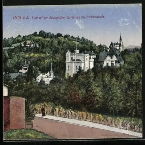 AK Halle a. S., Zoologischer Garten von der Friedensstrasse aus gesehen