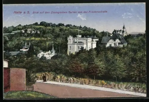AK Halle a. S., Zoologischer Garten von der Friedensstrasse aus gesehen