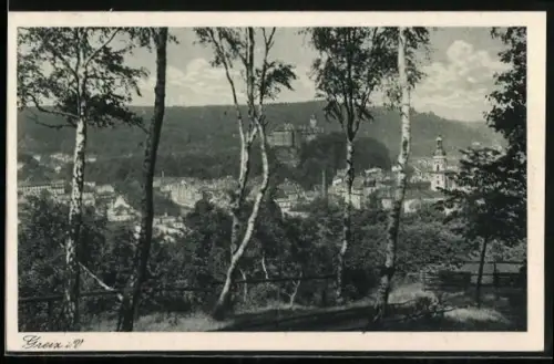 AK Greiz i. V., Teilansicht mit Burg