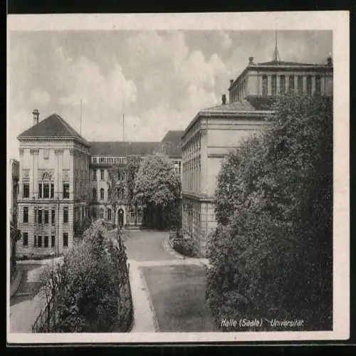 AK Halle / Saale, Universität