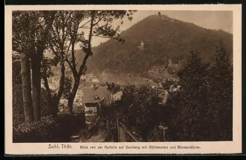 AK Suhl, Blick von der Hofleite auf Domberg mit Otilienstein & Bismarckturm