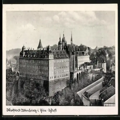 AK Altenburg i. Thür., Schloss mit Strassenpartie